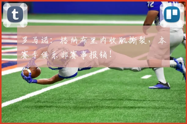 罗马诺：格纳布里内收肌撕裂，本赛季俱乐部赛事报销！