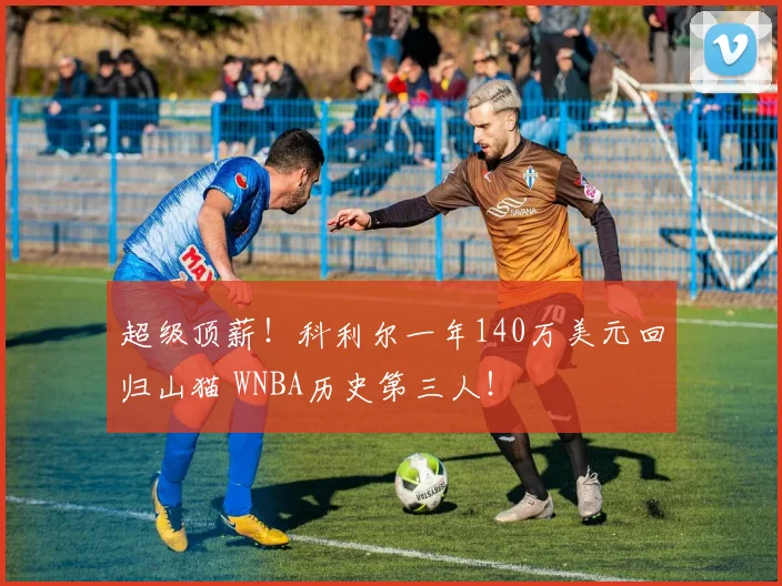 超级顶薪！科利尔一年140万美元回归山猫 WNBA历史第三人！