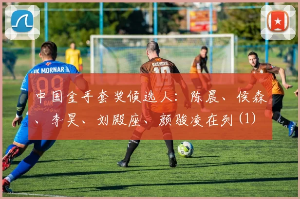 中国金手套奖候选人：陈晨、侯森、李昊、刘殿座、颜骏凌在列(1)